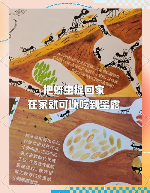 蚁家科技 以微小之力，筑非凡之家
